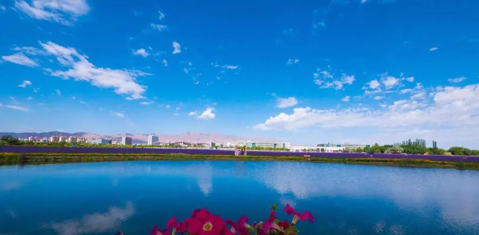 金昌金昌移动宽带